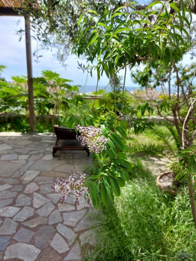 Villa Symphony Sea View Forio di Ischia Exterior foto