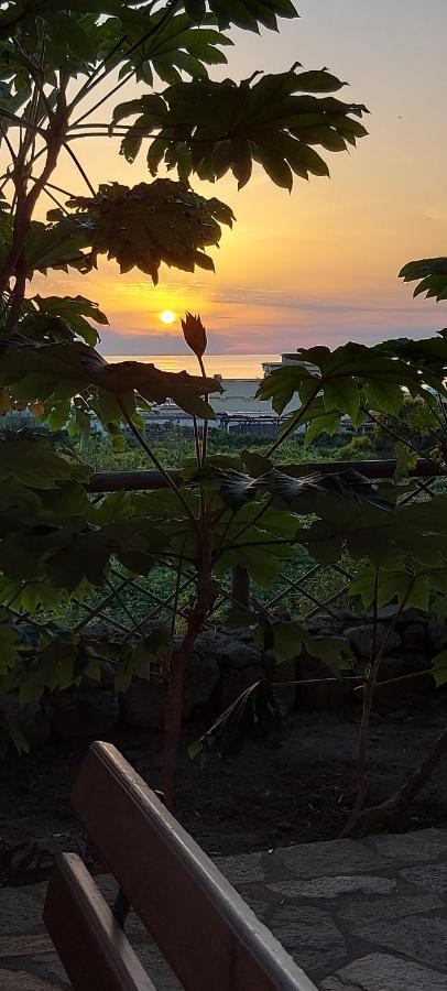 Villa Symphony Sea View Forio di Ischia Exterior foto