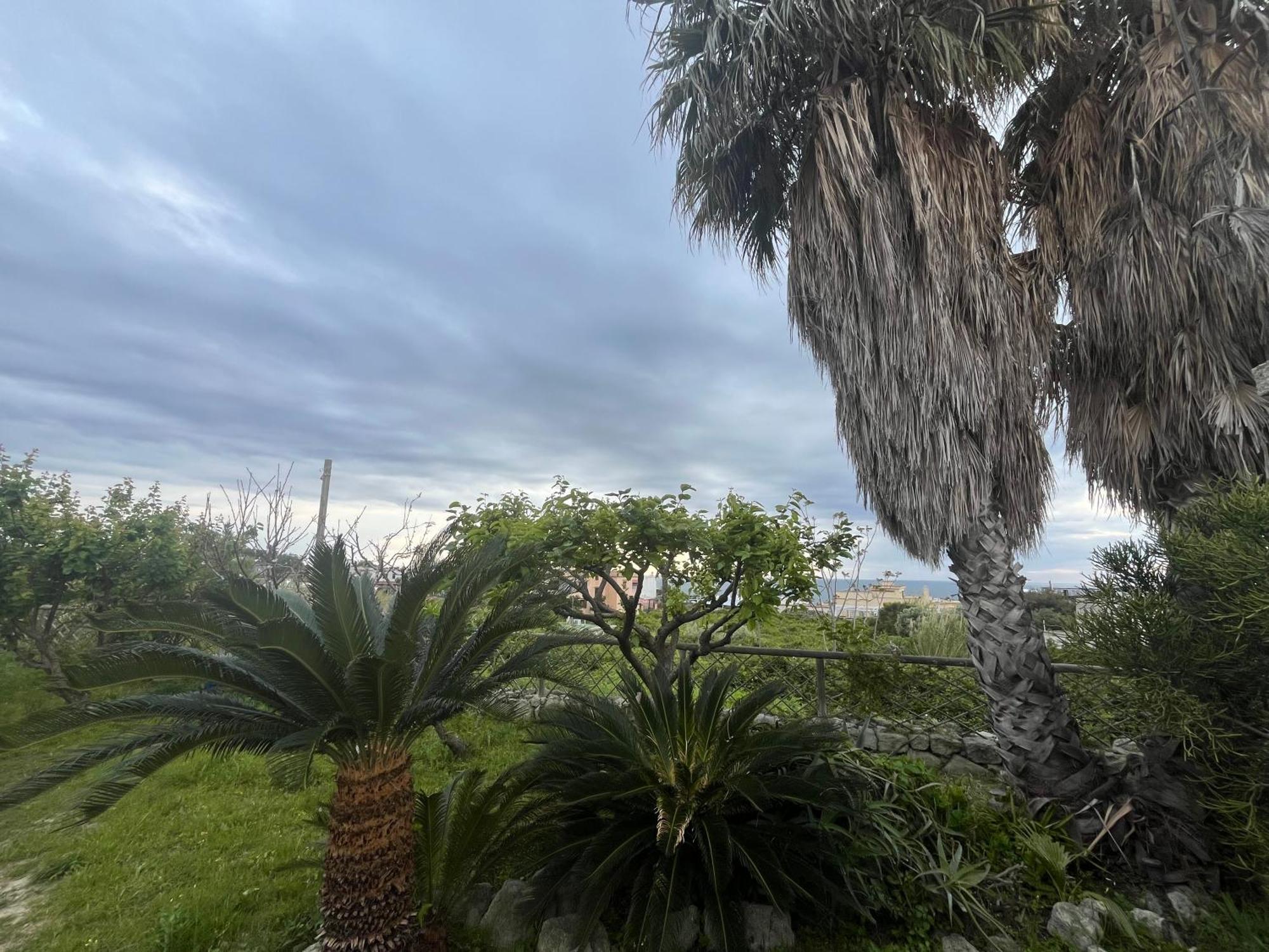 Villa Symphony Sea View Forio di Ischia Exterior foto